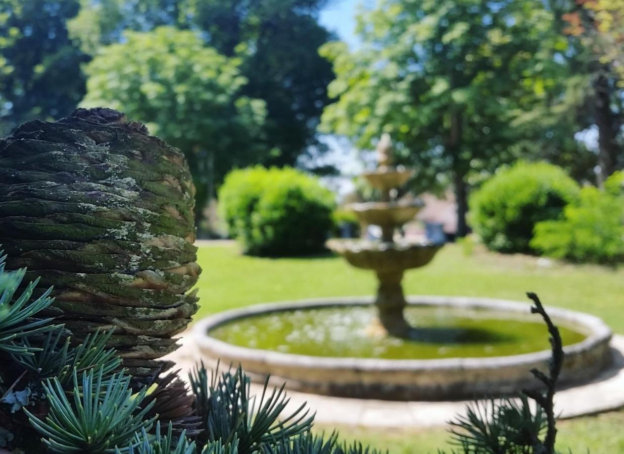 Chateau Marith - Etablissement Climatise Avec Piscine Hotel Clairac  Exterior photo